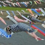加茂川　鯉のぼり